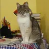 Отзыв от Инесса Ершова